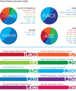 Client statistics for 2015 fiscal year