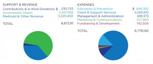 HVCS' Financial Charts for 2014