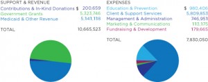 Financial report for fiscal year 2015